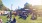 people gathering at Central Park