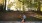 couple sitting bench with dog